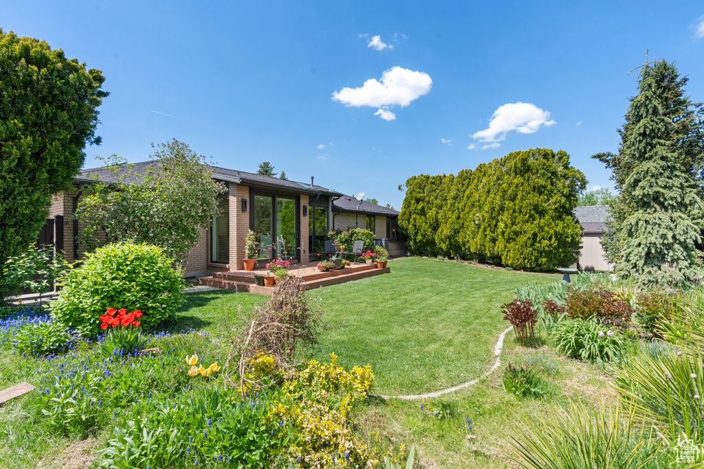 View of yard featuring a patio area