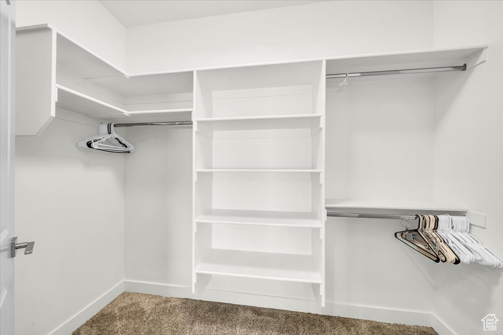 Spacious closet featuring carpet floors