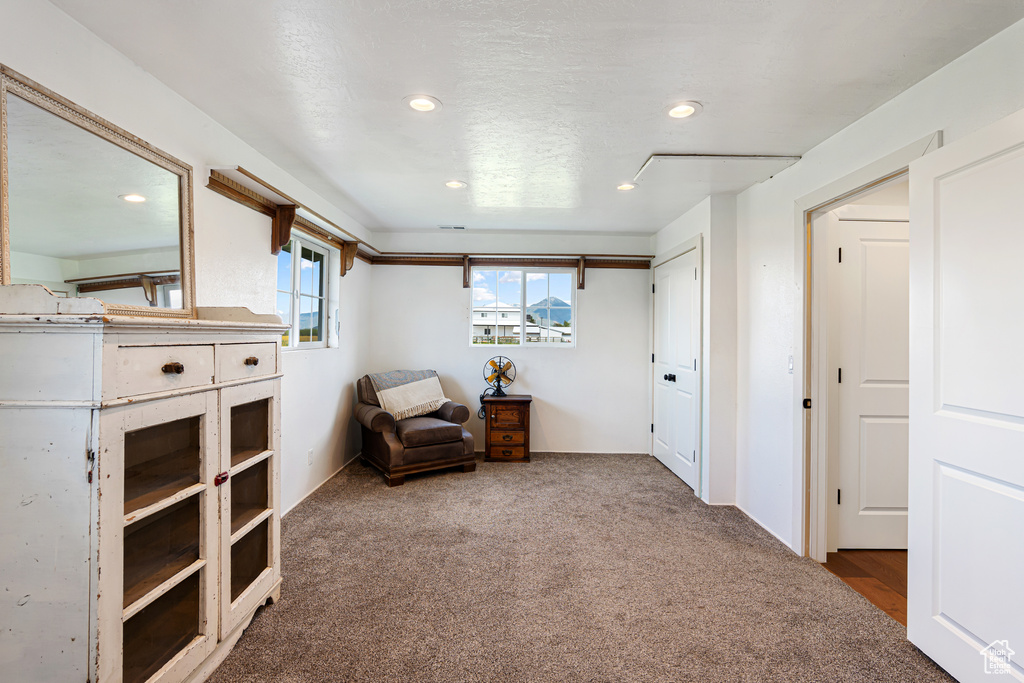 Sitting room featuring recessed lighting and carpet flooring