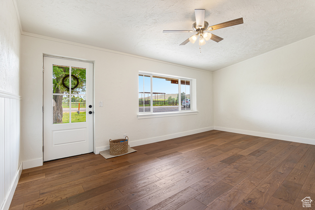Foyer entrance featuring a textured ceiling, healthy amount of natural light, dark wood-style floors, and a ceiling fan