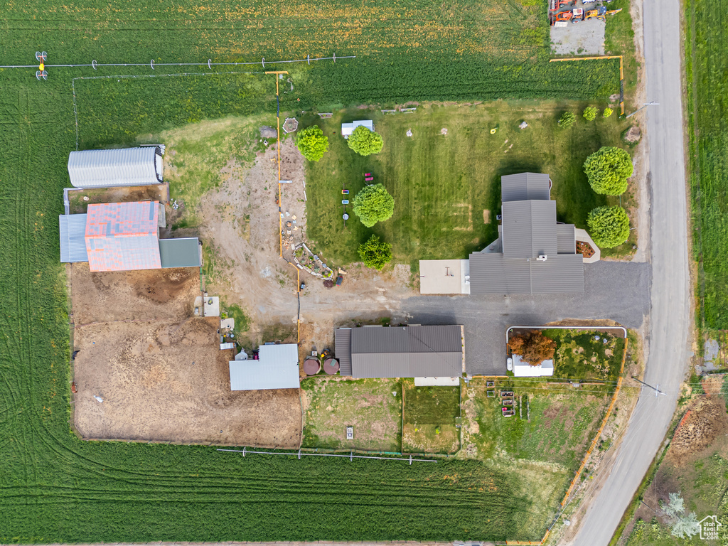 Bird\'s eye view