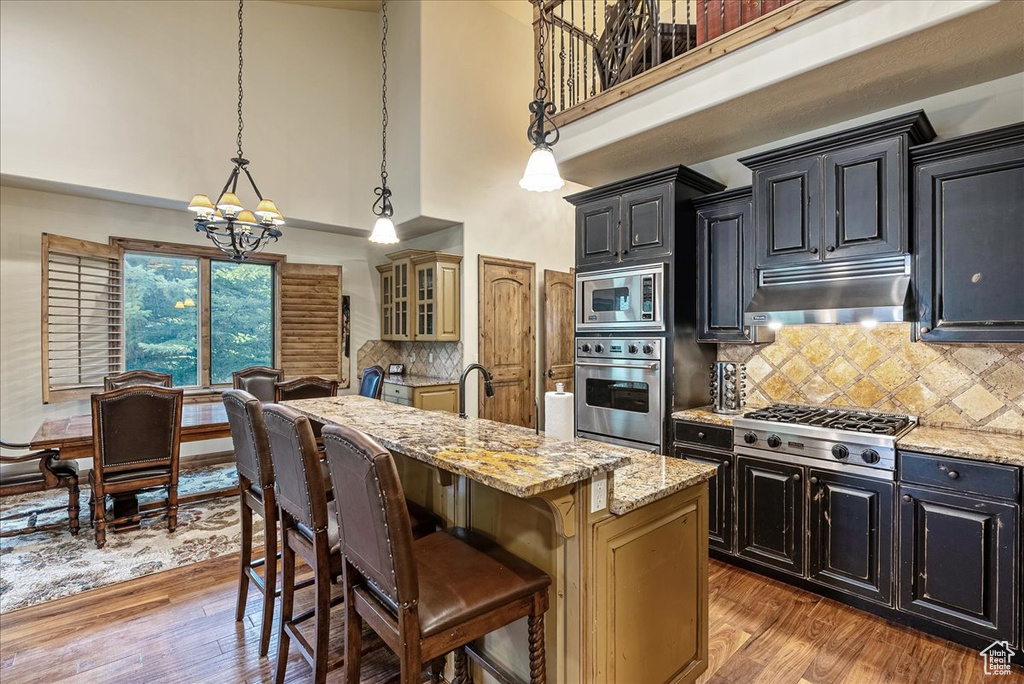 Kitchen featuring stainless steel appliances, a chandelier, a towering ceiling, dark cabinets, and wood finished floors