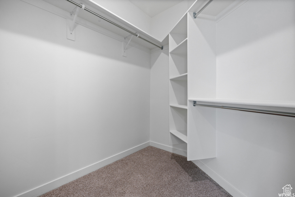 Walk in closet with dark colored carpet