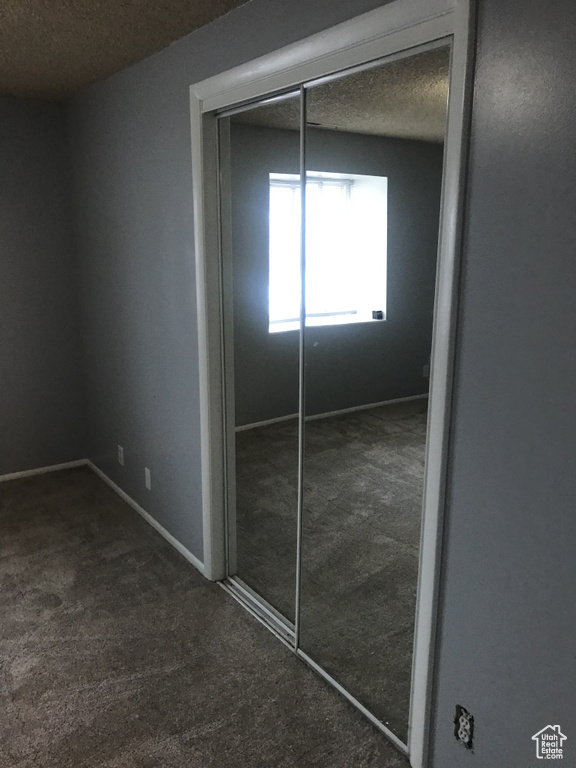 Interior space featuring a closet, carpet, a textured ceiling, and baseboards