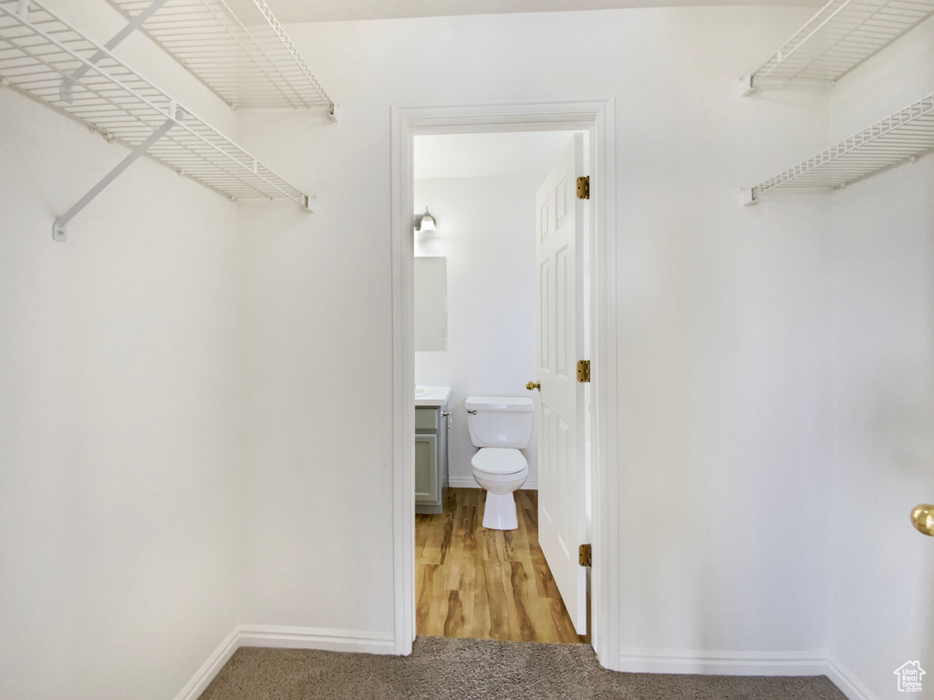 Walk in closet featuring light colored carpet