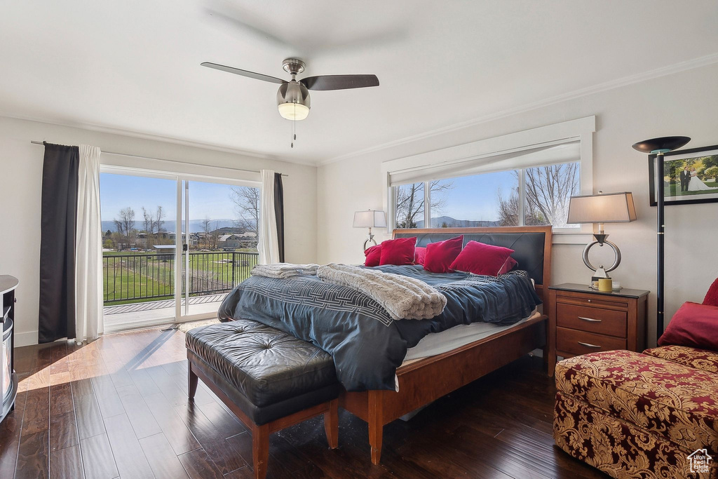 Bedroom featuring crown molding, dark wood-style flooring, access to outside, and multiple windows