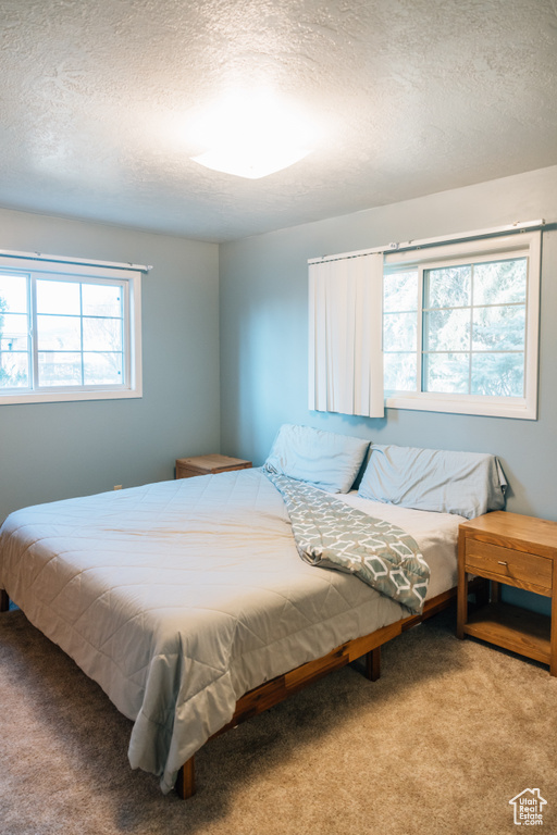 Bedroom featuring carpet and a textured ceiling