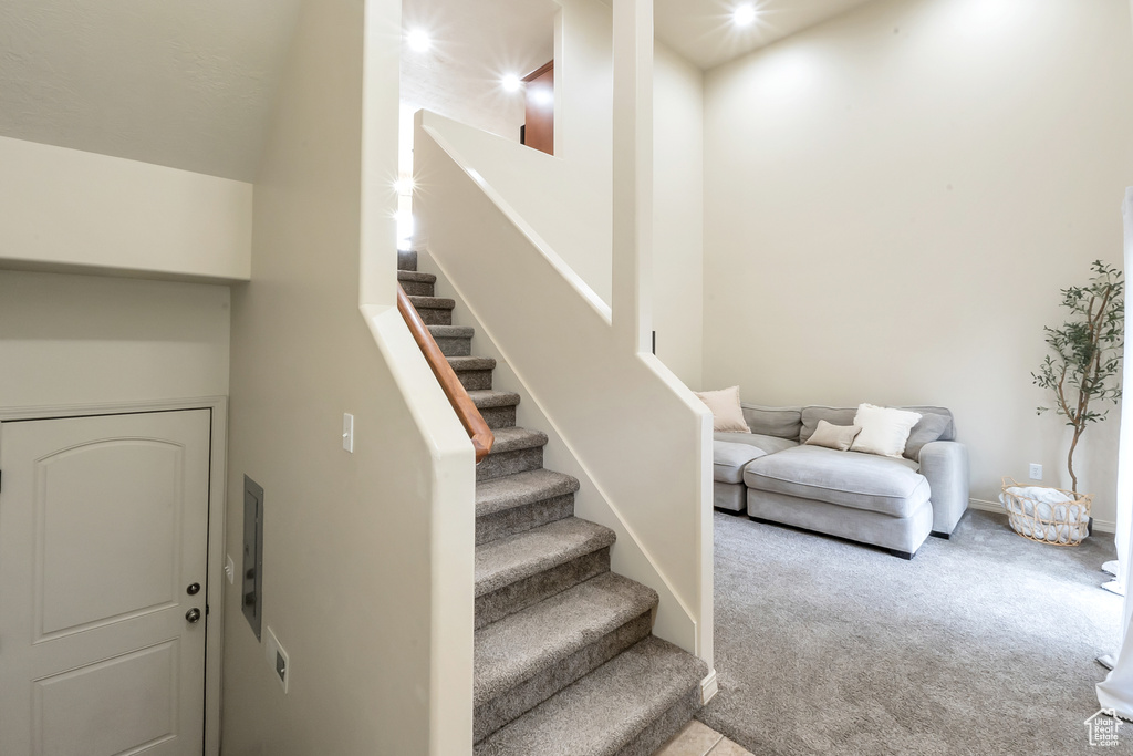 Staircase with carpet