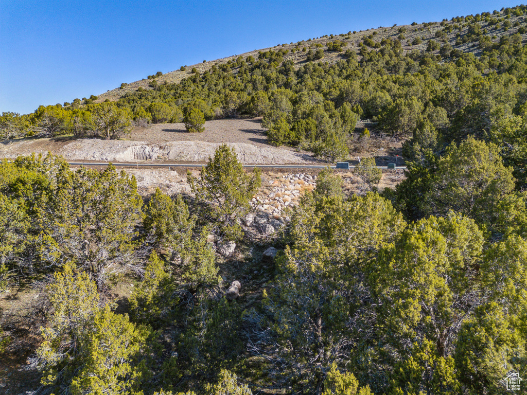 Aerial view of property and surrounding area with a forest