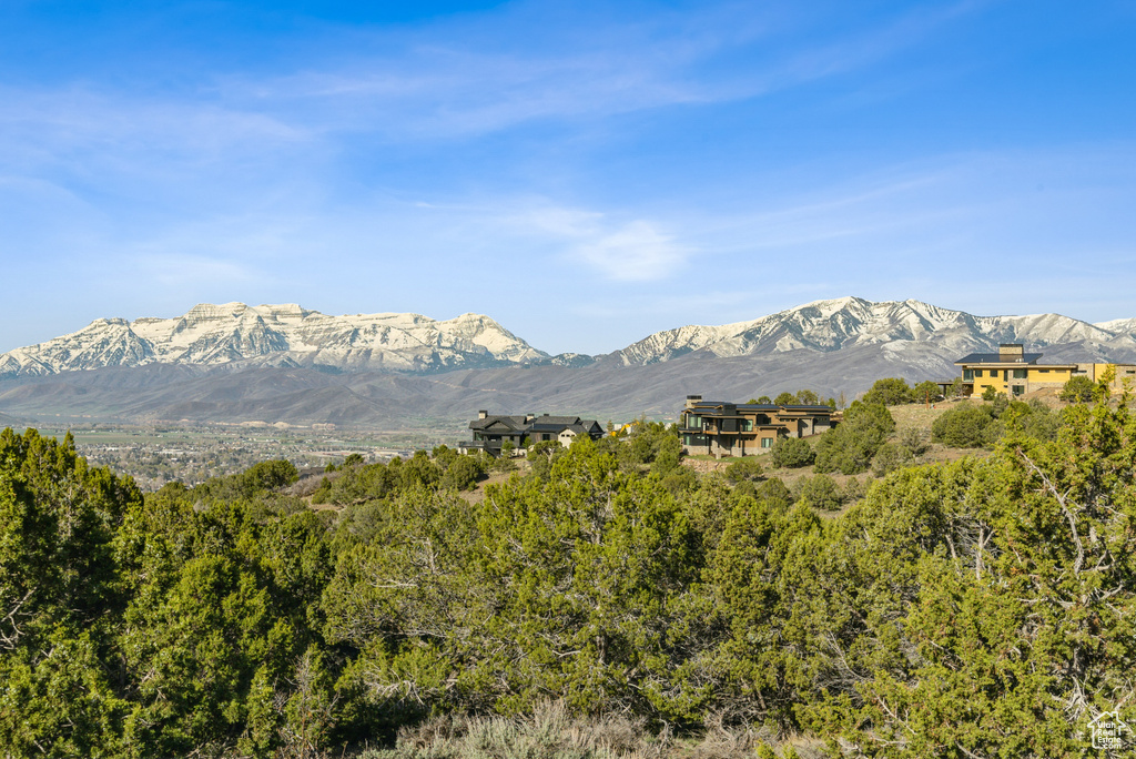 View of mountain background