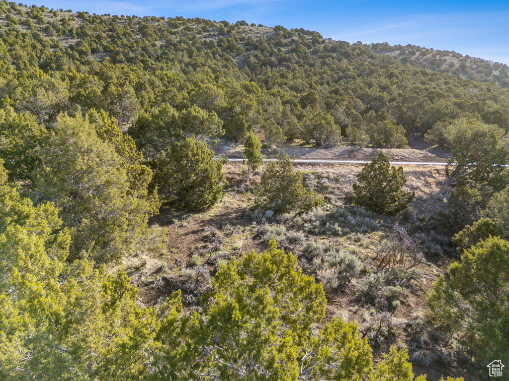 View of property location with a forest