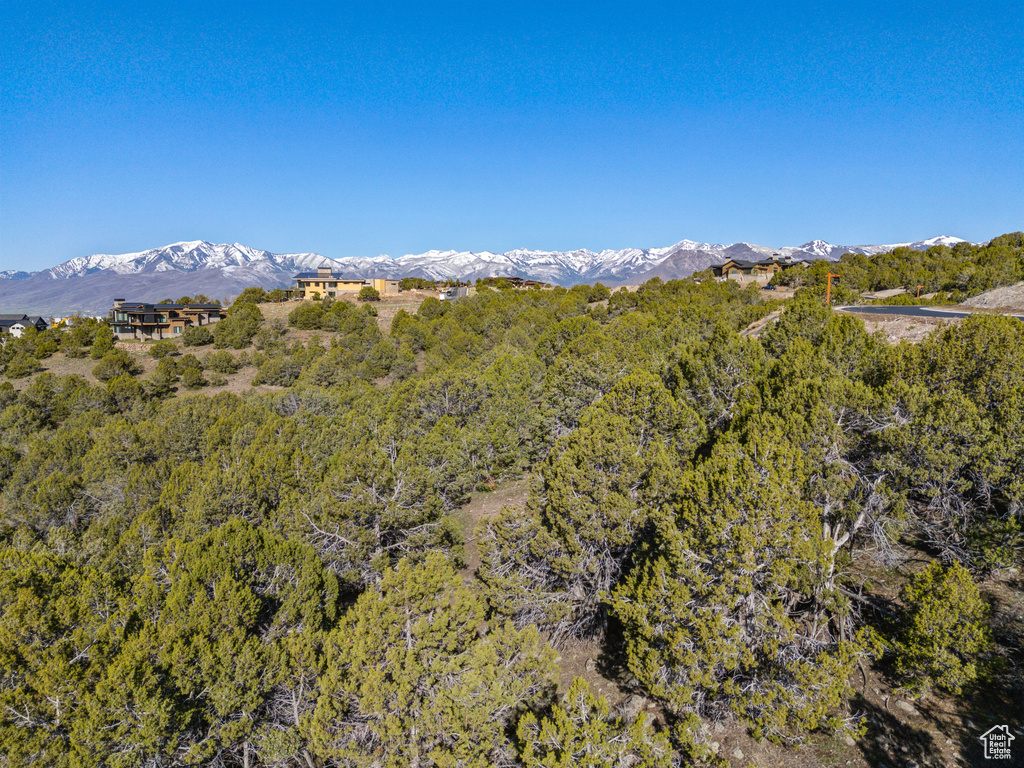 View of mountain backdrop featuring a forest