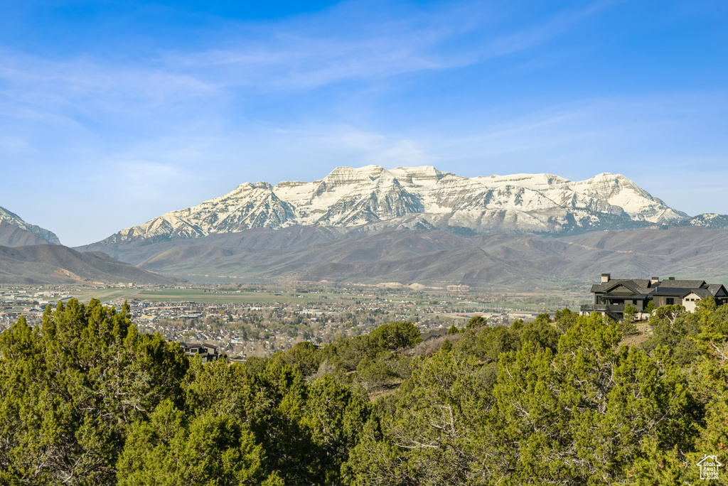 View of mountain background