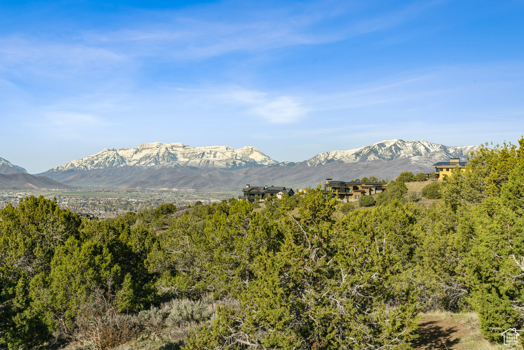Mountain view