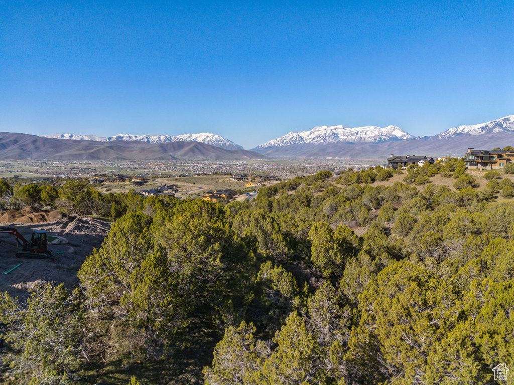 View of mountain background with a heavily wooded area
