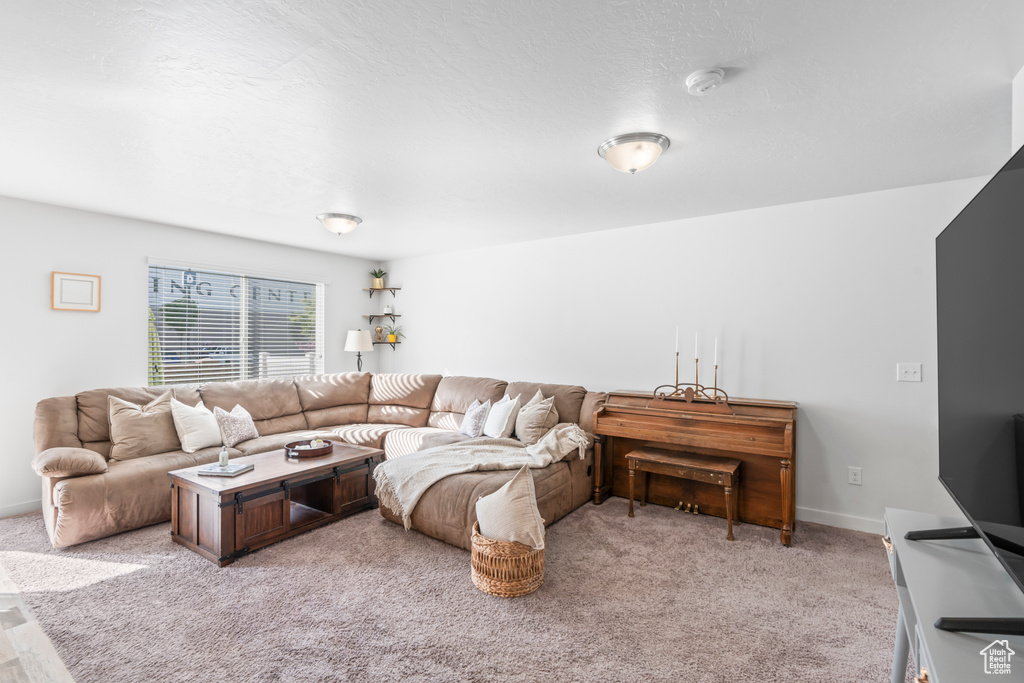 Living area with light colored carpet and baseboards