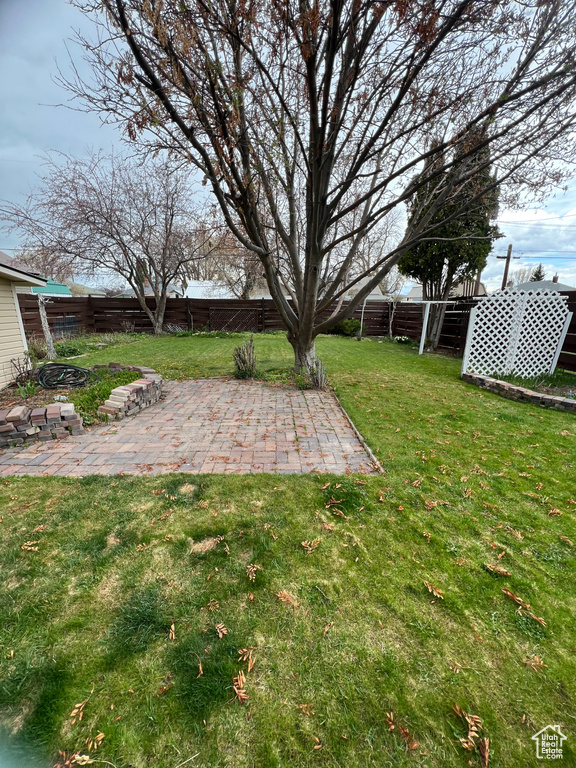 View of yard with a patio
