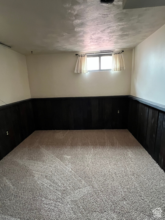 Carpeted spare room with wainscoting and wood walls
