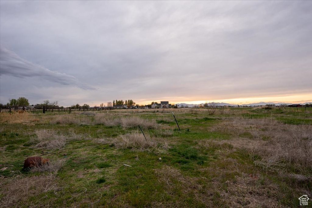 Nature at dusk with a rural view