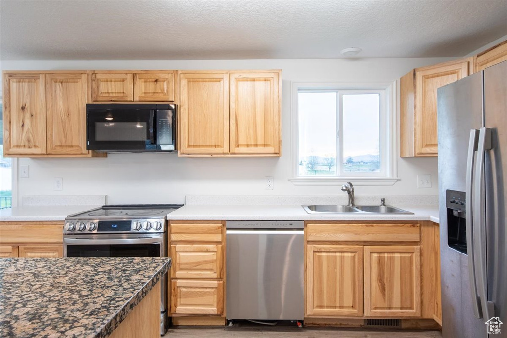 Kitchen featuring a sink, appliances with stainless steel finishes, light brown cabinetry, and a healthy amount of sunlight