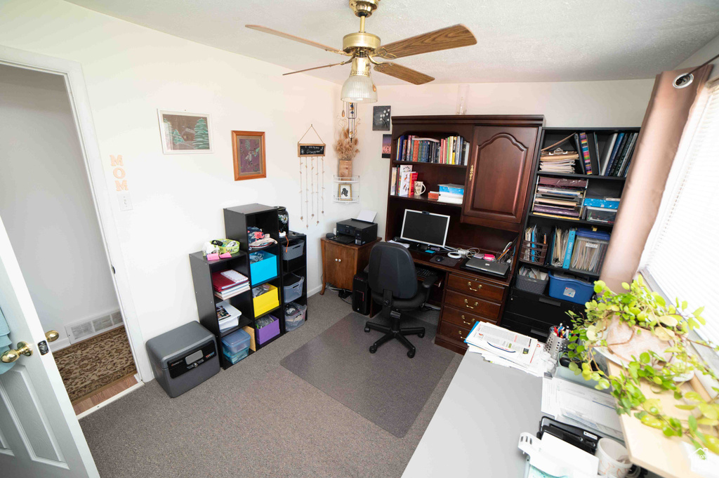 Office area with ceiling fan, carpet, visible vents, and a wealth of natural light