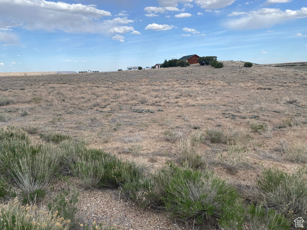 View of local wilderness with a rural view