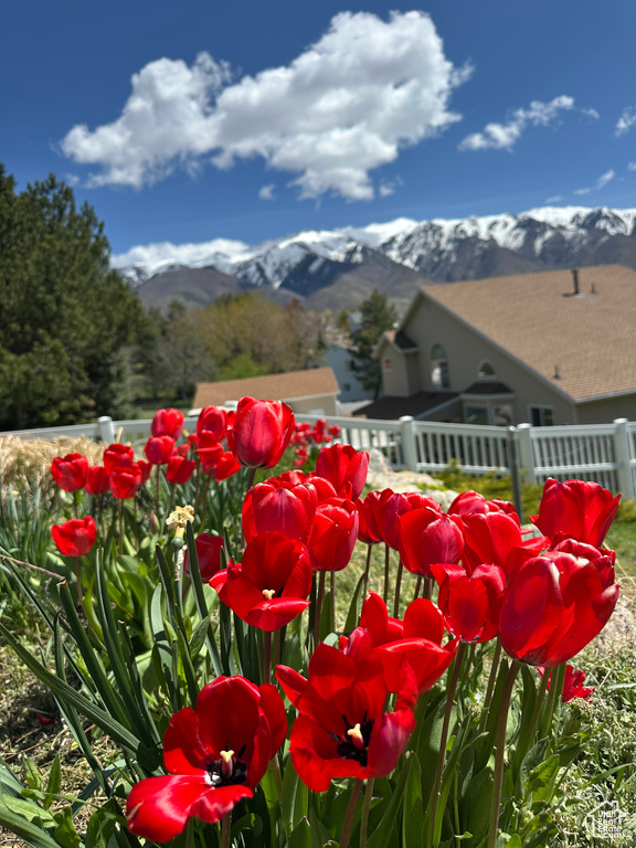 Details with a mountain view and fence