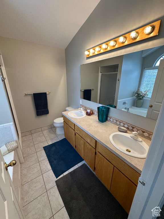 Bathroom with double vanity, lofted ceiling, a stall shower, and a sink