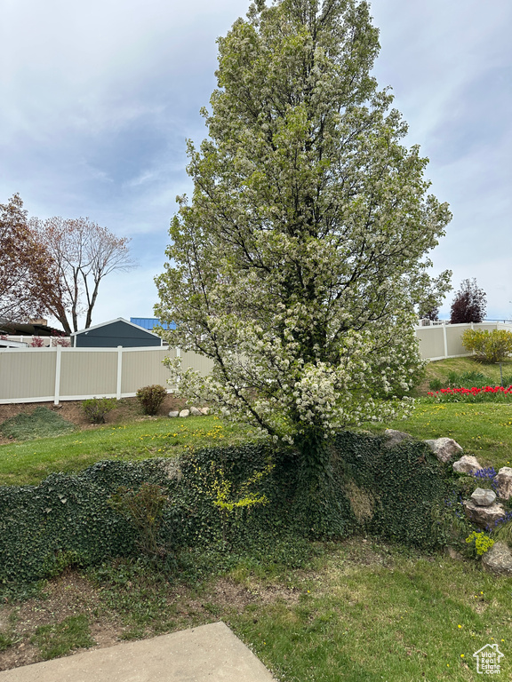 View of yard featuring fence
