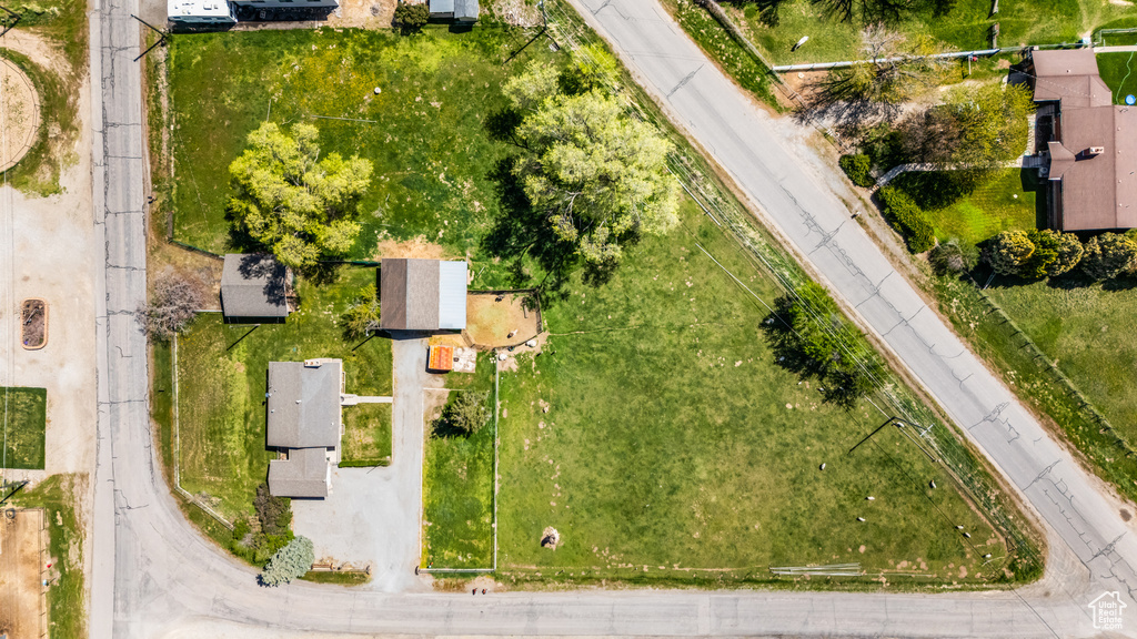 Bird\'s eye view