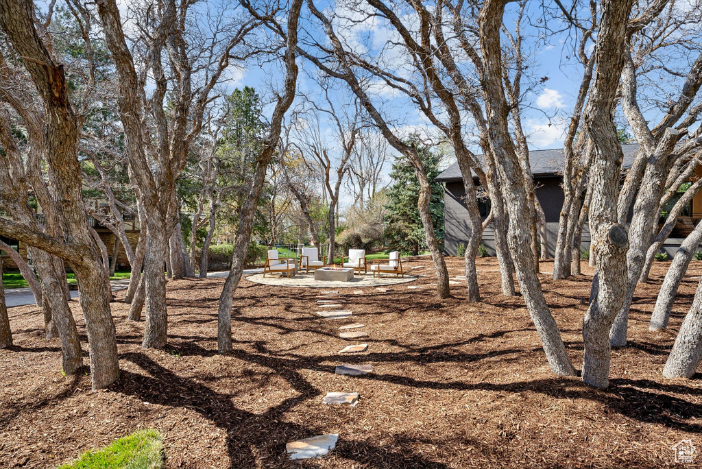 View of yard with a fire pit and a patio