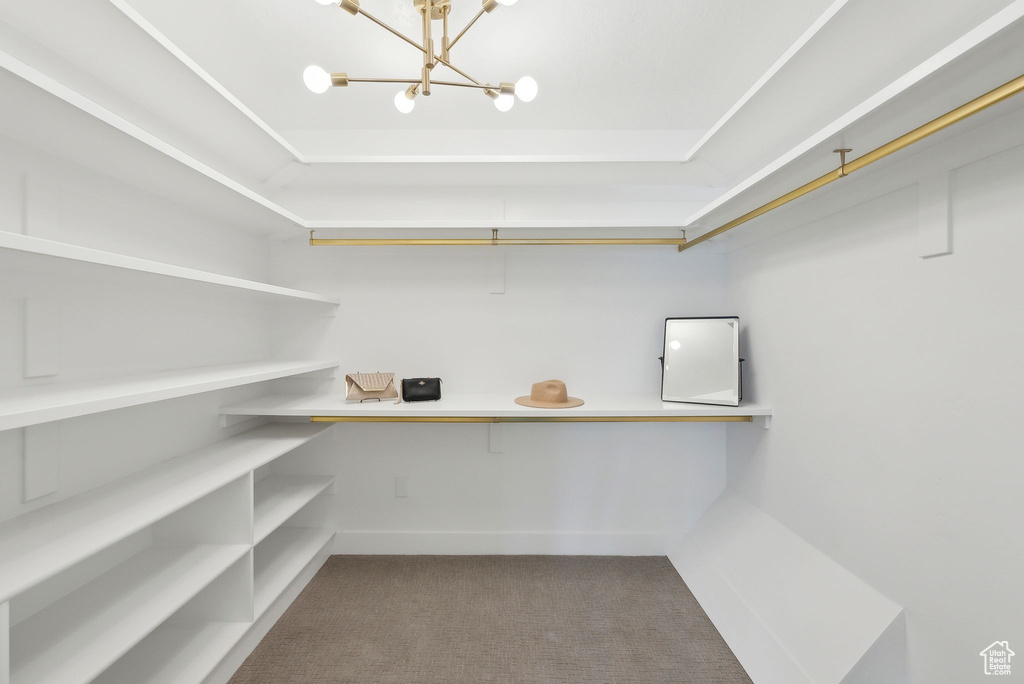 Spacious closet featuring an inviting chandelier and carpet