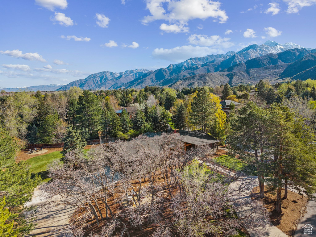 Mountain view