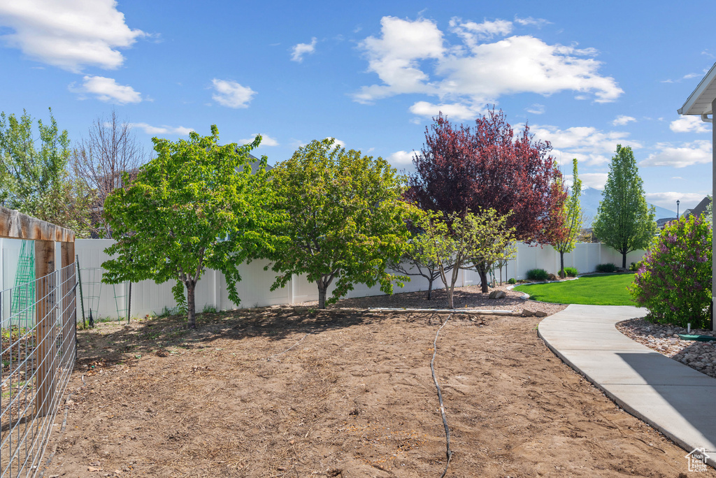 View of yard with a fenced backyard