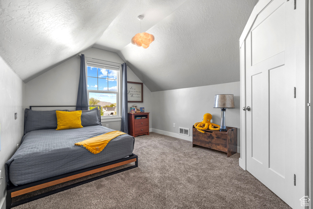 Carpeted bedroom with lofted ceiling, baseboards, visible vents, and a textured ceiling