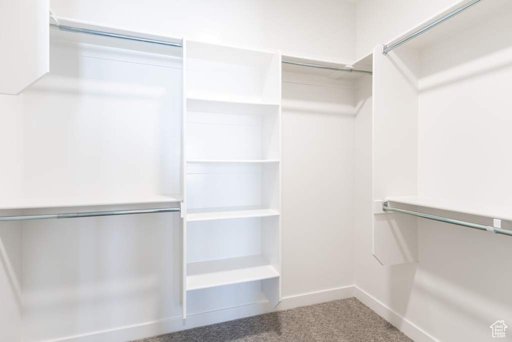 Walk in closet with carpet