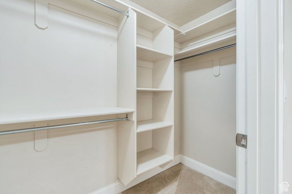 Spacious closet with carpet