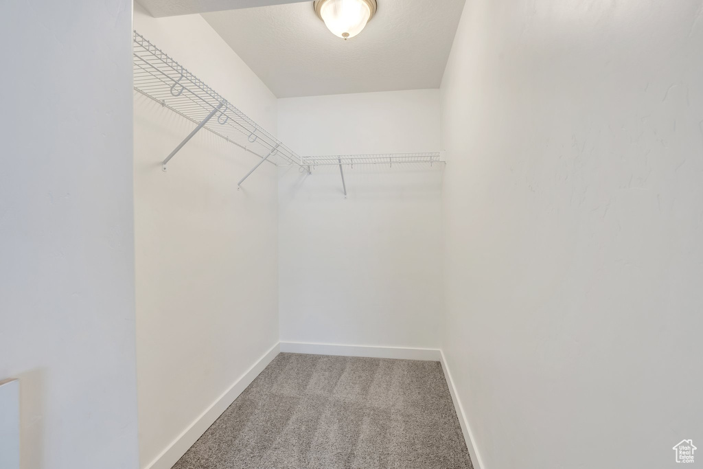 Spacious closet featuring carpet floors