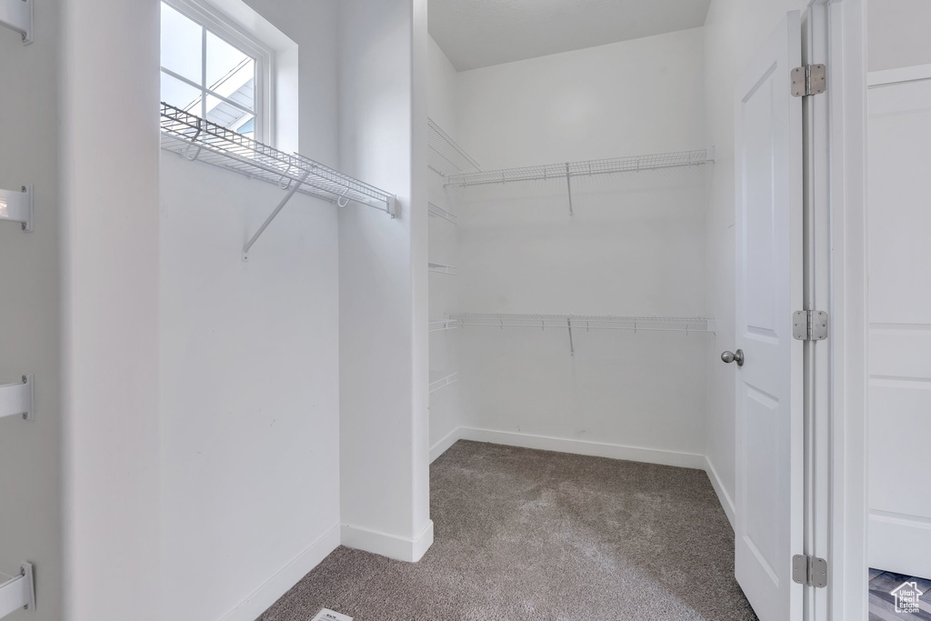 Spacious closet with carpet flooring