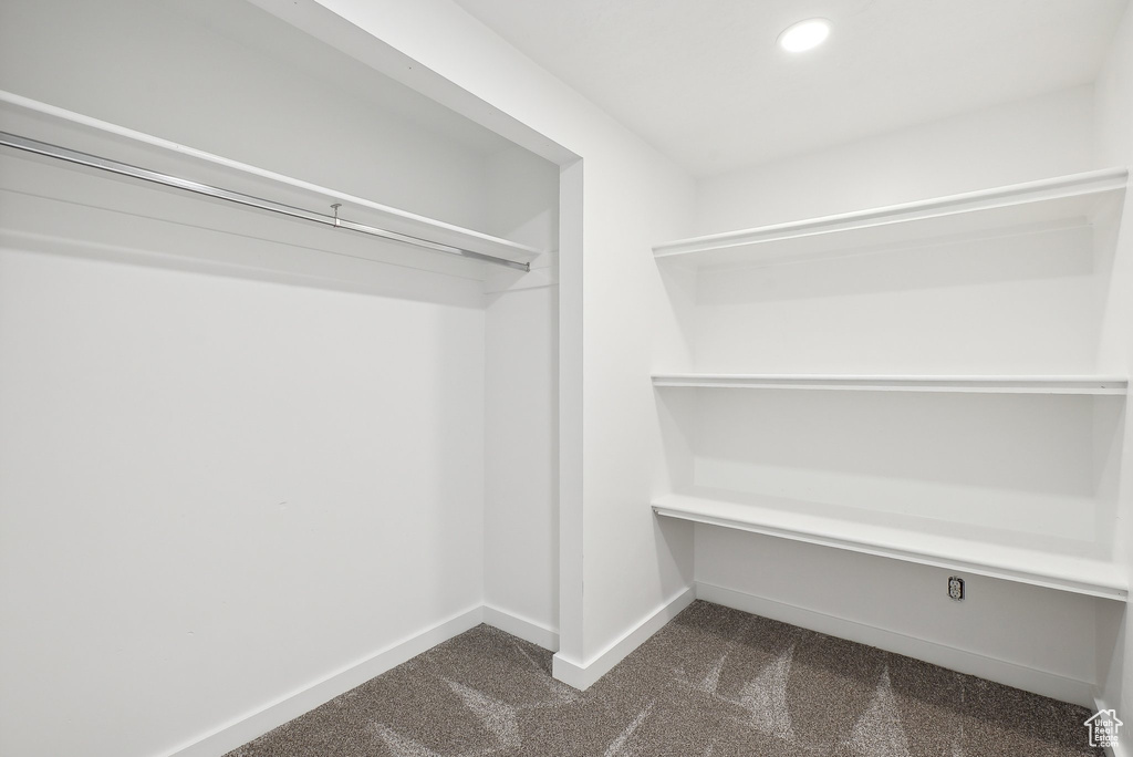 Walk in closet featuring dark carpet