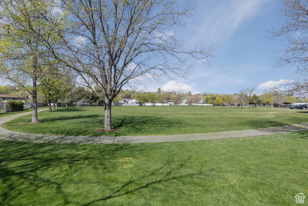View of home\'s community featuring a yard
