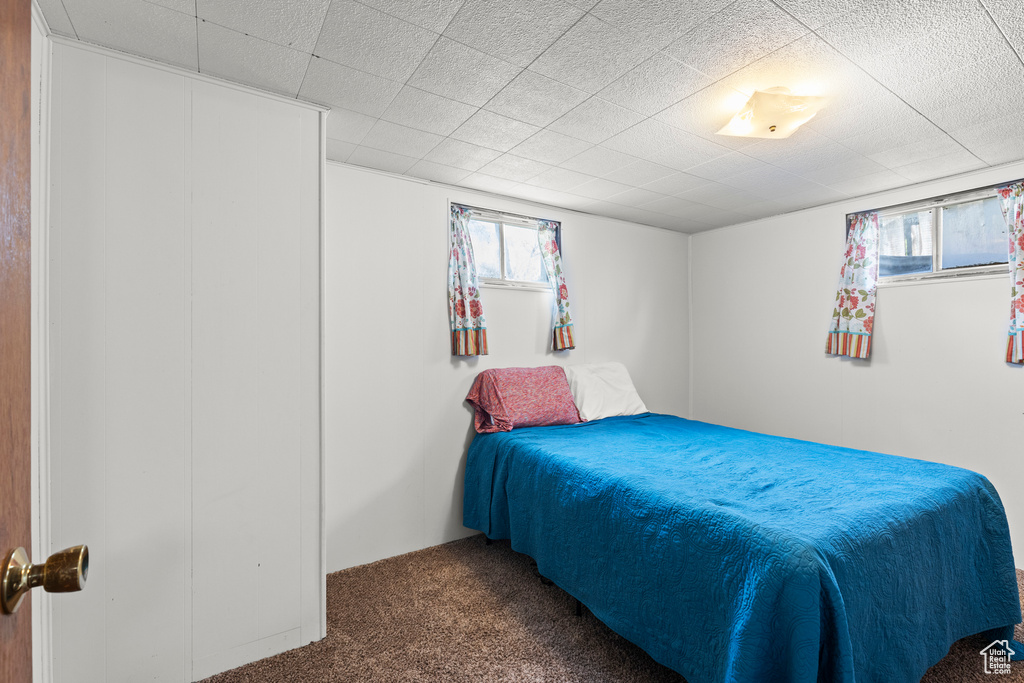 Bedroom with carpet flooring and multiple windows