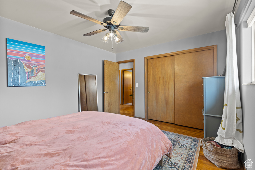 Bedroom with a closet, a ceiling fan, and wood finished floors