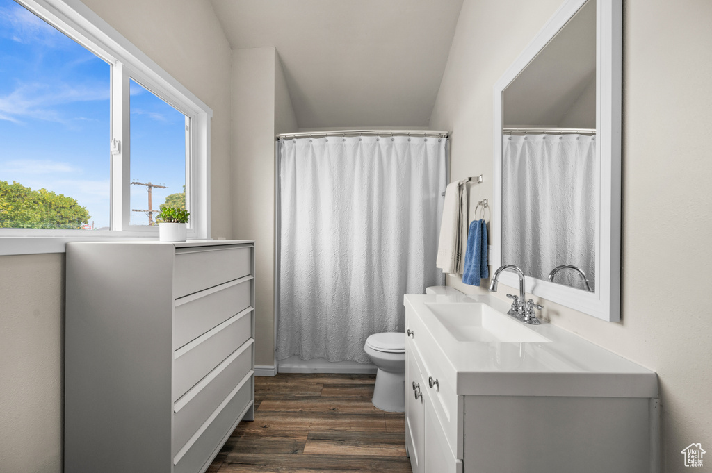 Bathroom featuring toilet, vanity, wood finished floors, and curtained shower