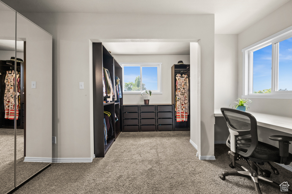 Home office featuring plenty of natural light, baseboards, and carpet floors