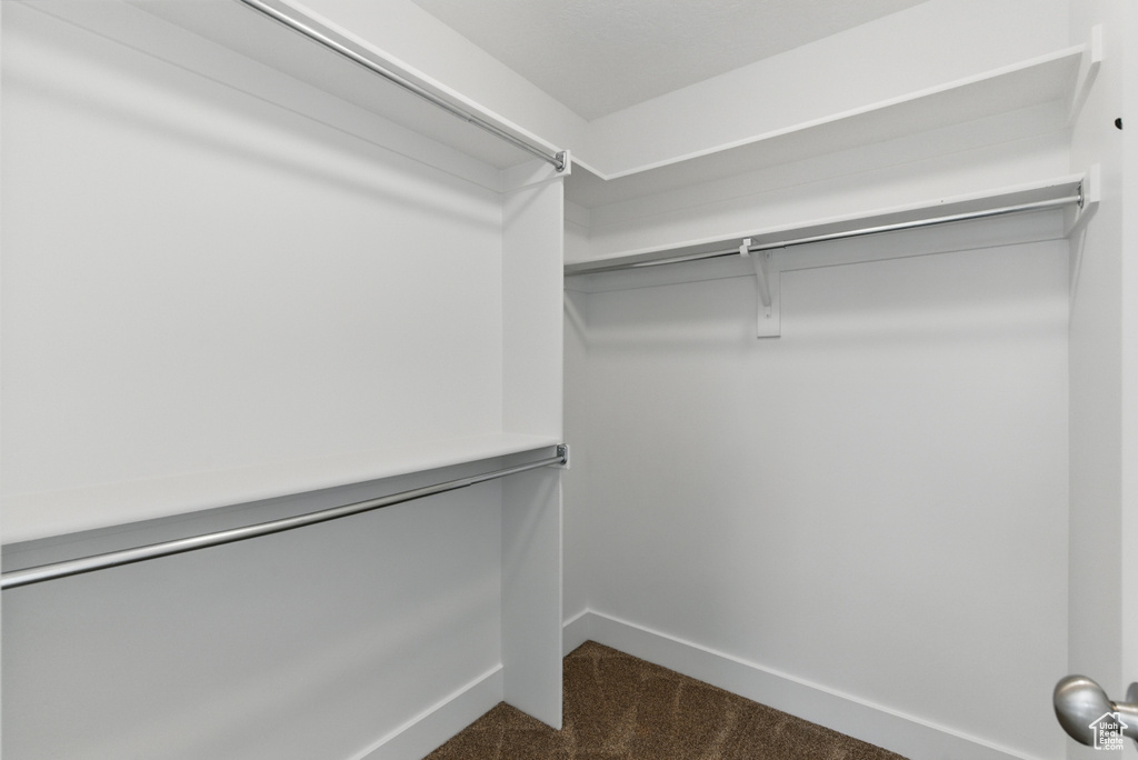 Spacious closet with dark carpet