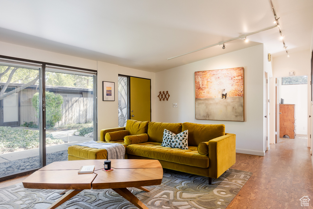 Living room with rail lighting, baseboards, and light wood-type flooring