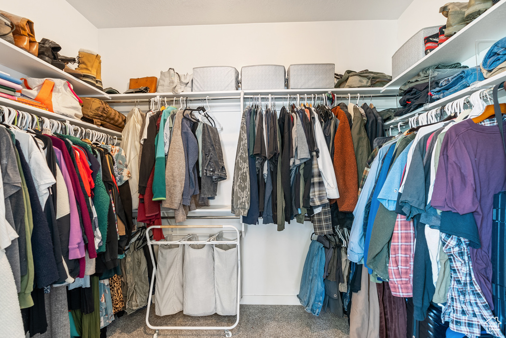 Spacious closet featuring carpet