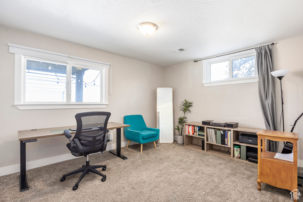 Home office featuring carpet floors and baseboards
