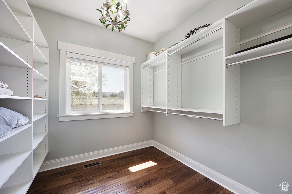 Spacious closet featuring dark wood-style flooring and a chandelier